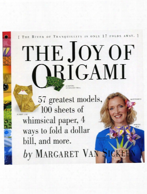 The Joy Of Origami The Joy Of Origami