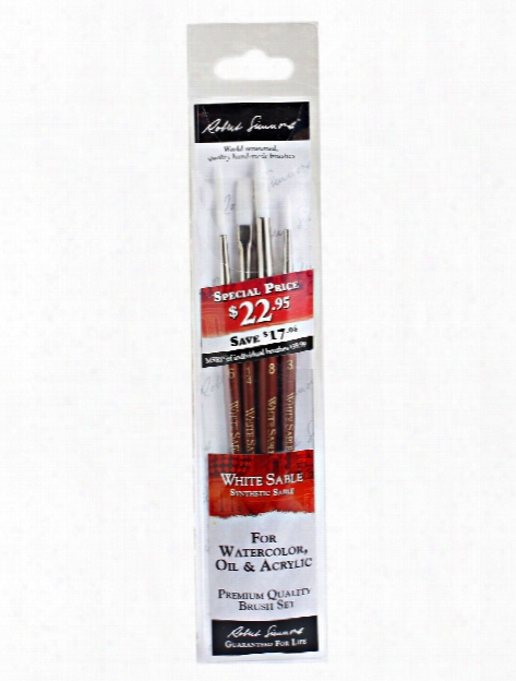 Wss-4 Brush Set Set Of 4