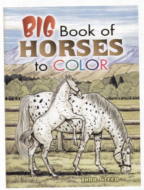 Big Book Of Horses To Color Big Book Of Horses To Color