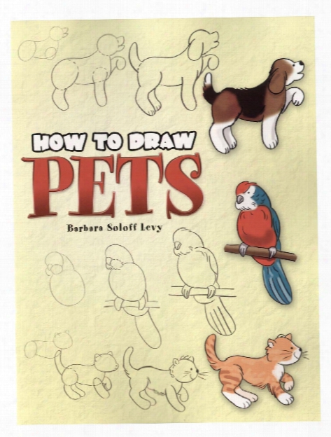 How To Draw Pets How To Draw Pets