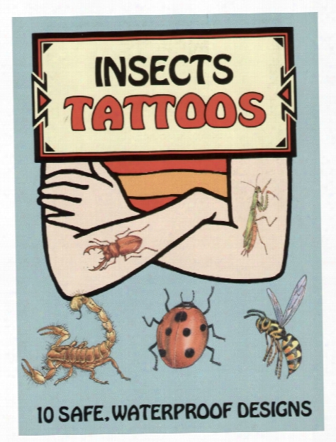 Insects Tattoos Insects Tattoos