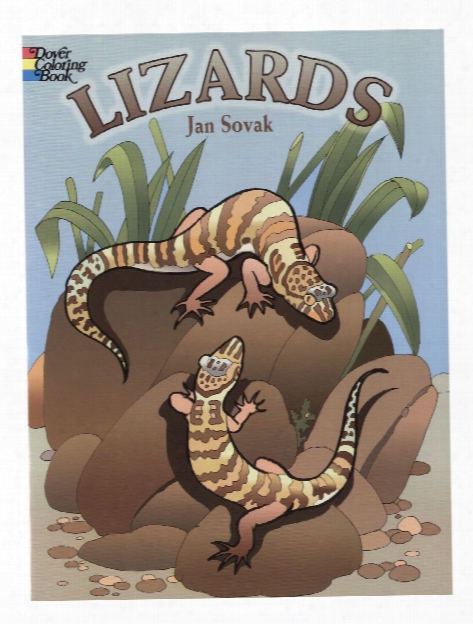 Lizards Coloring Book Lizards Coloring Book