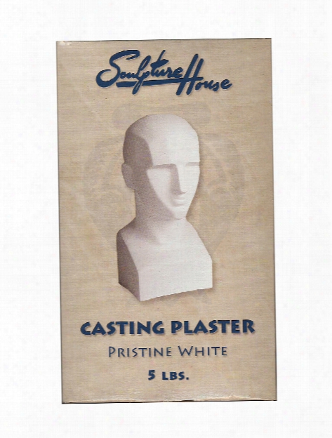 Pristine White Casting Plaster 5 Lb.