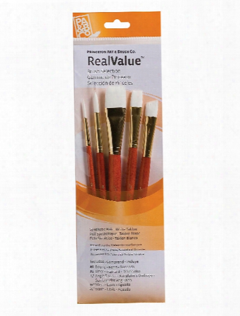 Real Value Series 9000 Orange Handled Brush Sets 9153 Set Of 6