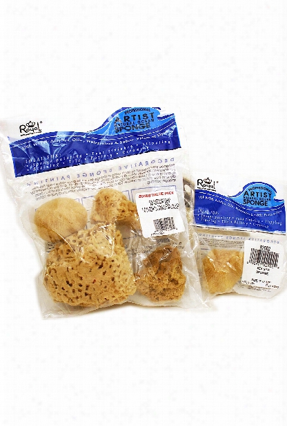 Sea Silk Sponges Pack Of 4