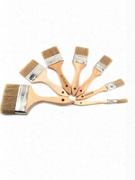 White Bristle Wash Brush 1 2 In.