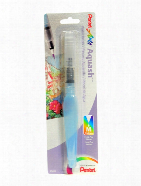 Aquash Water Brush Flat Tip Point, Empty