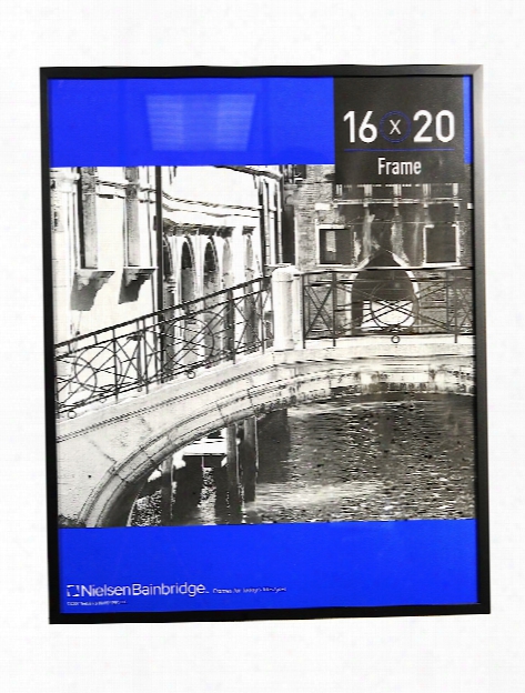 Basics Frames 16 In. X 20 In.