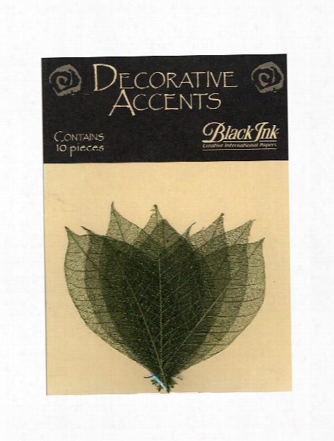 Decorative Accents Rubber Tree Leaves 3 In. Natural Pack Of 10