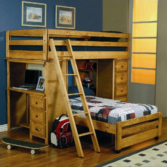 Coaster Wrangle Hill Twin Over Twin Loft Bunk Bed In Amber Wash Finish