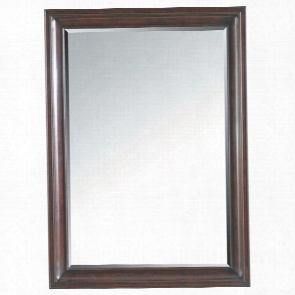 Stanley Furniture Transitional Landscape Mirror In Polished Sable