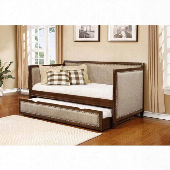 Coaster Upholstered Twin Side Daybed In Rich Amber