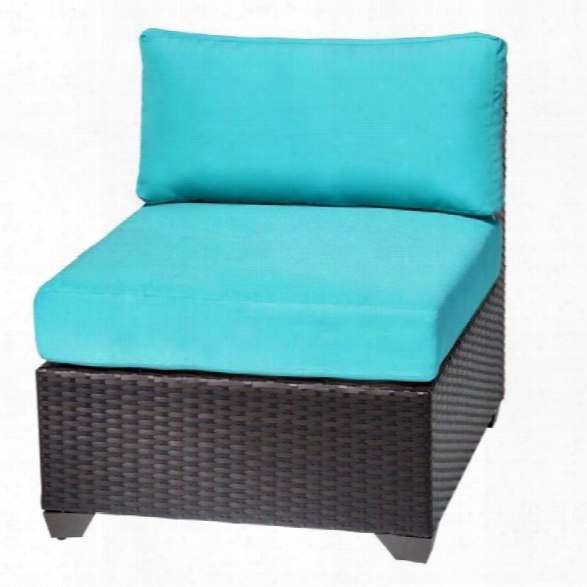 Tkc Barbados Outdoor Wicker Chair In Aruba (set Of 2)