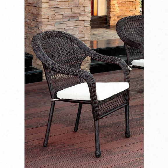 Furniture Of America Levi Patio Wicker Arm Chair In Brown