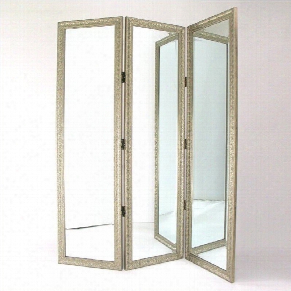 Wayborn Mirror With Frame Full Size Dressing Room Divider In Silver