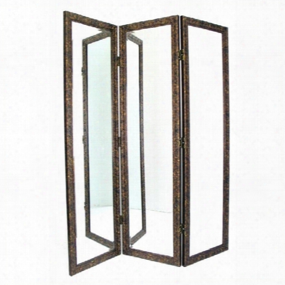 Wayborn Mirrored Room Divider In Brown And Gold