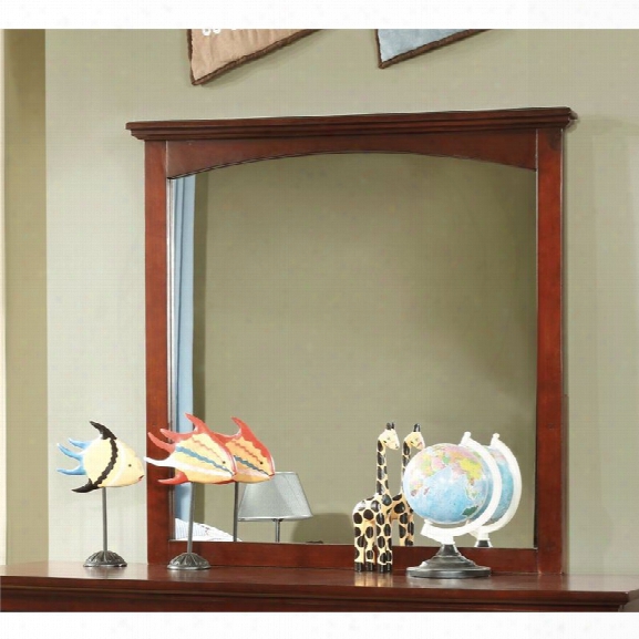 Furniture Of America Hailey Transitional Mirror In Cherry