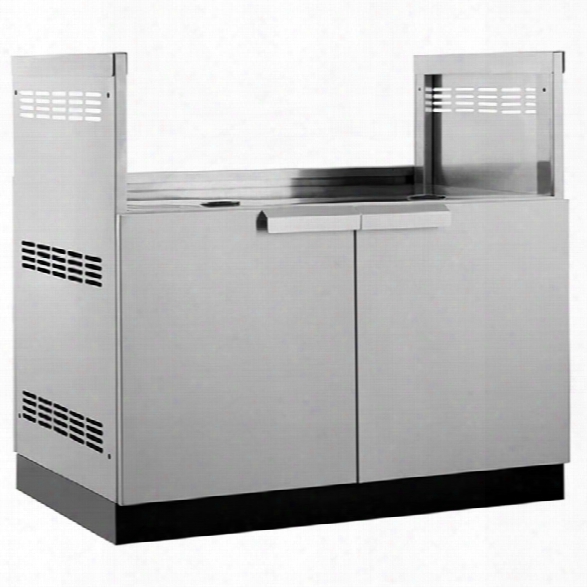 Newage Outdoor Kitchen 40 Insert Grill Cabinet In Stainless Steel