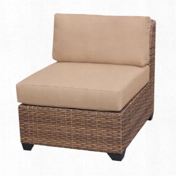 Tkc Laguna Outdoor Wicker Chair In Wheat (set Of 2)