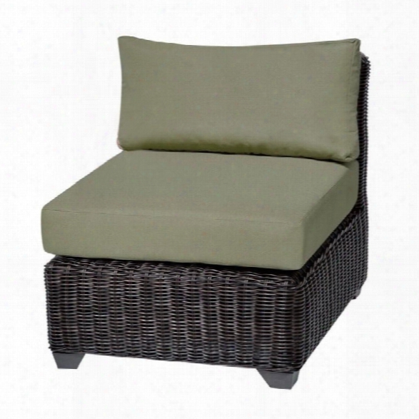 Tkc Venice Outdoor Wicker Chair In Cilantro (set Of 2)