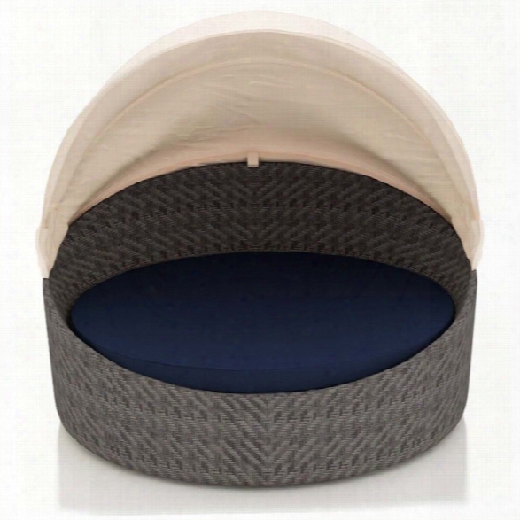 Harmonia Living Wink Canopy Patio Daybed In Spectrum Indigo