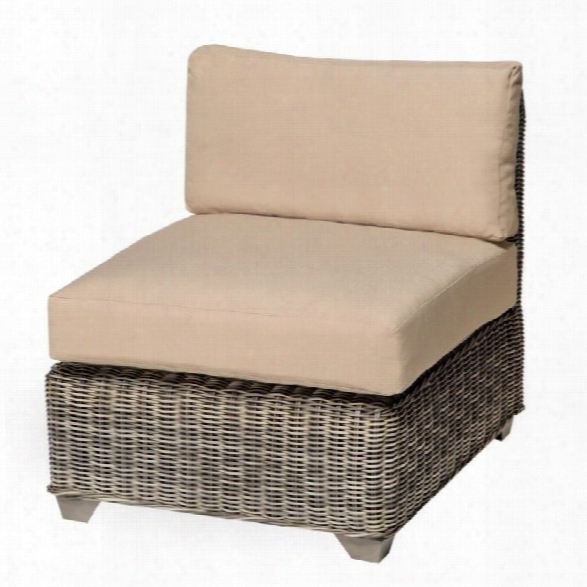 Tkc Cape Cod Outdoor Wicker Chair In Wheat (set Of 2)