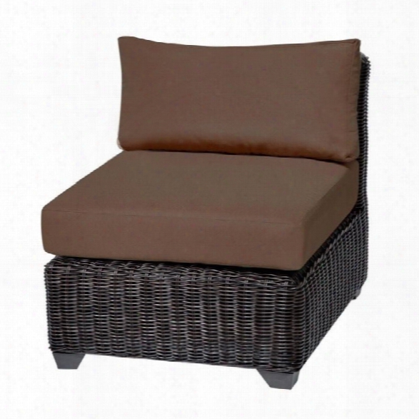 Tkc Venice Outdoor Wicker Chair In Cocoa (set Of 2)