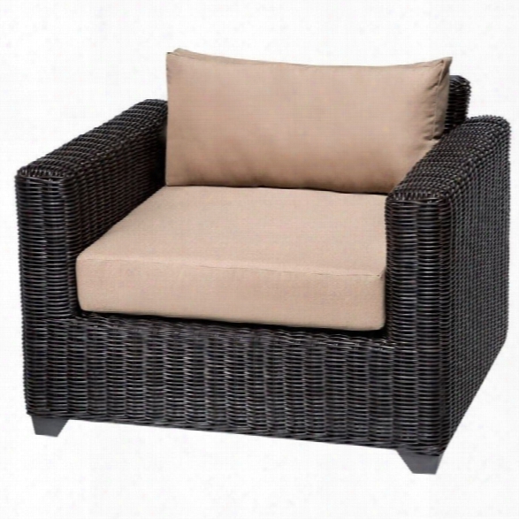 Tkc Venice Outdoor Wicker Club Chair In Wheat