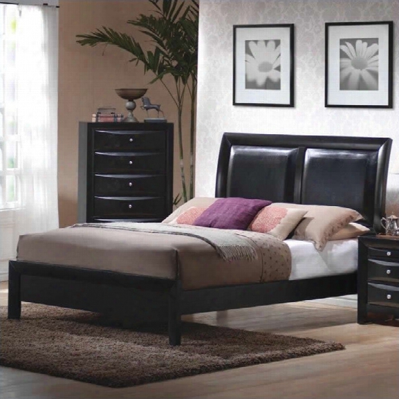 Coaster Briana Low Profile Upholstered Bed In Black Finish-queen