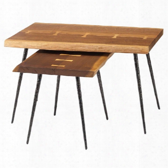 Nuevo Nexa 2 Piece Nesting Table Set In Smoked Brown