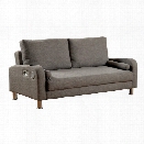 Furniture of America Chrissy Fabric Sleeper Sofa Bed in Gray