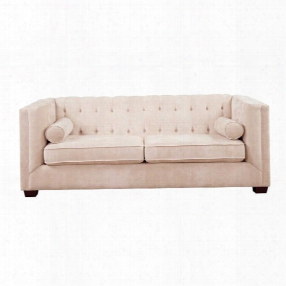 Coaster Alexis Transitional Microvelvet Chesterfield Sofa In Almond