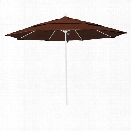 California Umbrella Venture 11' White Market Umbrella in Bay Brown