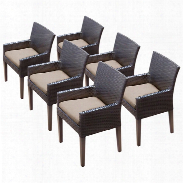 Tkc Napa Patio Dining Arm Chair (set Of 6)