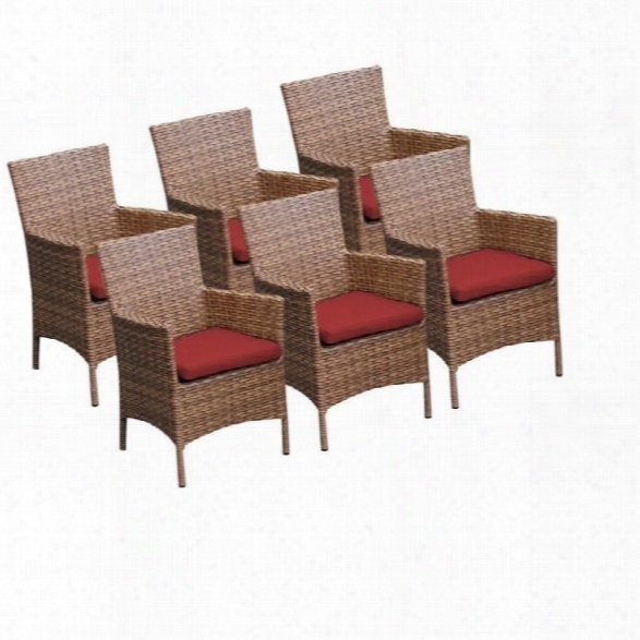 Tkc Laguna Wicker Patio Arm Dining Chairs In Terracotta (set Of 6)