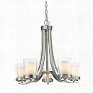 Z-Lite Willow 5 Light Chandelier in Brushed Nickel