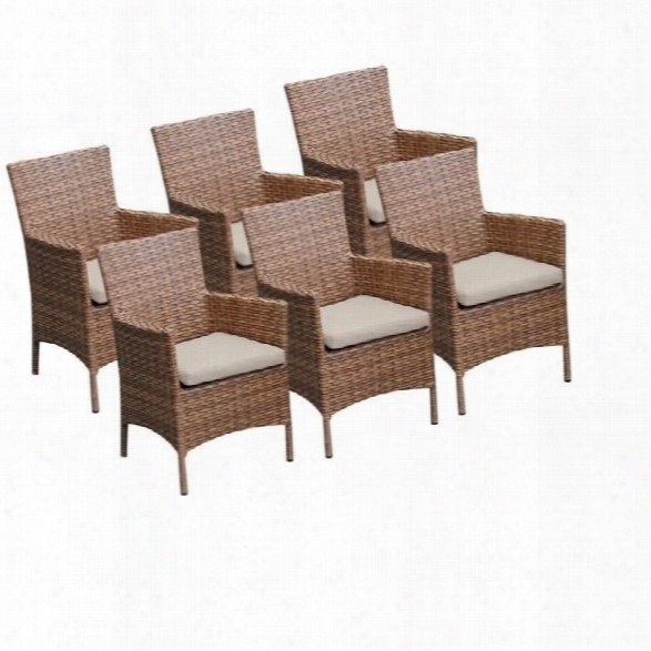 Tkc Laguna Wicker Patio Arm Dining Chairs In Beige (set Of 6)