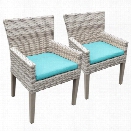 TKC Fairmont Patio Dining Arm Chair in Turquoise (Set of 2)