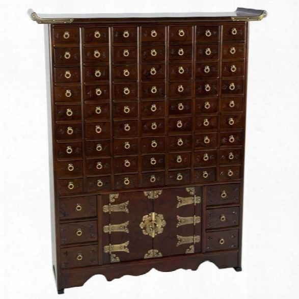 Oriental Korean 63 Drawer Apothecary Accent Chest In Rosewood