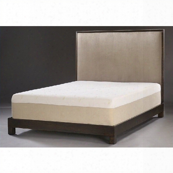 Comfort Magic Plush 14 Inch Memory Foam Mattress-king