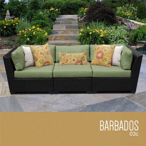 Tkc Barbados 3 Piece Patio Wicker Sofa In Green