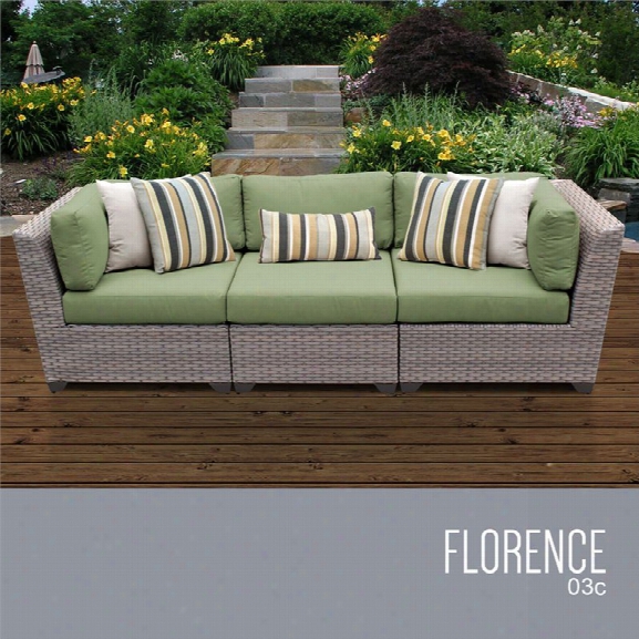 Tkc Florence 3 Piece Patio Wicker Sofa In Green