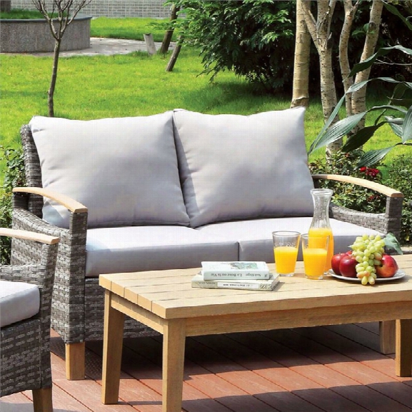 Furniture Of America Verita Contemporary Outdoor Loveseat In Gray