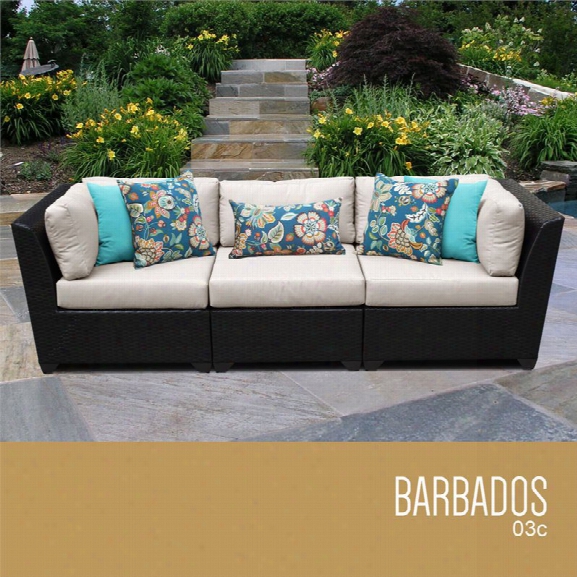 Tkc Barbados 3 Piece Patio Wicker Sofa In Beige