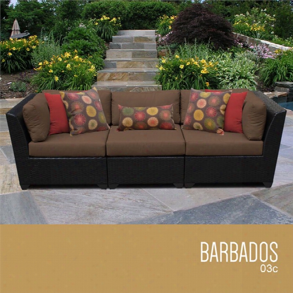 Tkc Barbados 3 Piece Patio Wicker Sofa In Brown