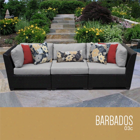 Tkc Barbados 3 Piece Patio Wicker Sofa In Gray