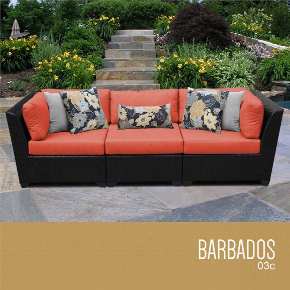 Tkc Barbados 3 Piece Patio Wicker Sofa In Orange