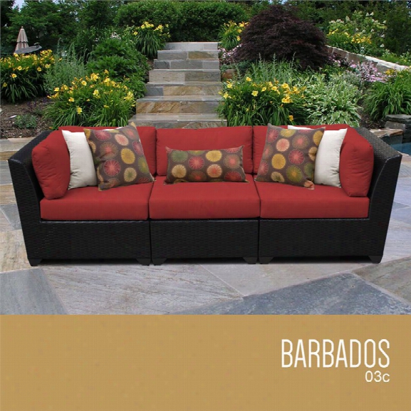 Tkc Barbados 3 Piece Patio Wicker Sofa In Red