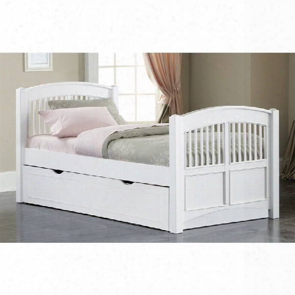 Ne Kids Walnut Street Hayden Twin Bed With Trundle In White