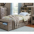 NE Kids Highlands Twin Bookcase Storage Bed in Driftwood